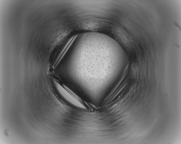 X0000097890404200803281250