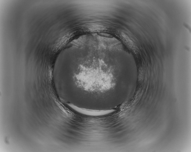 X0000097890405200803281250