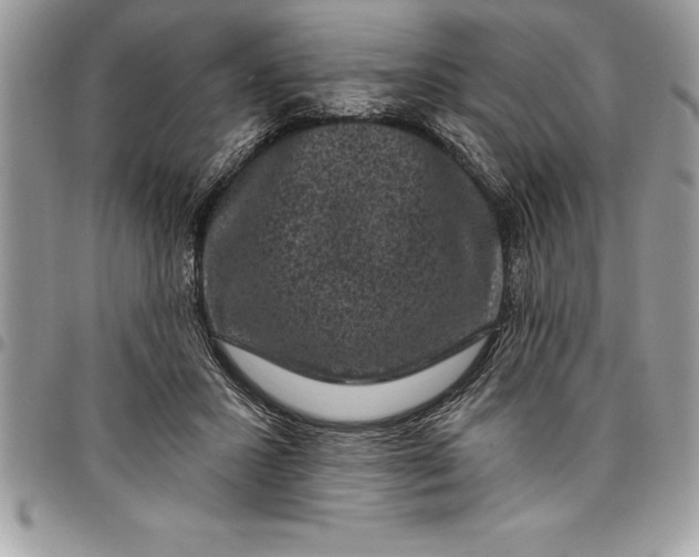 X0000097890407200803281250