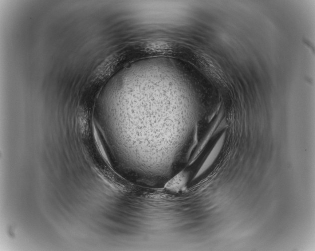 X0000097890408200803281250