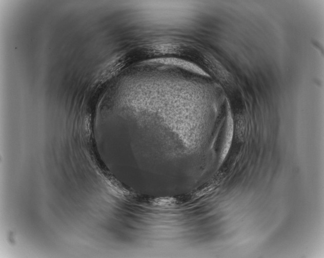 X0000097890410200803281250