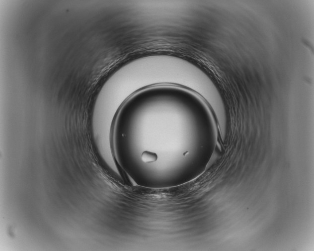 X0000097890411200803281250