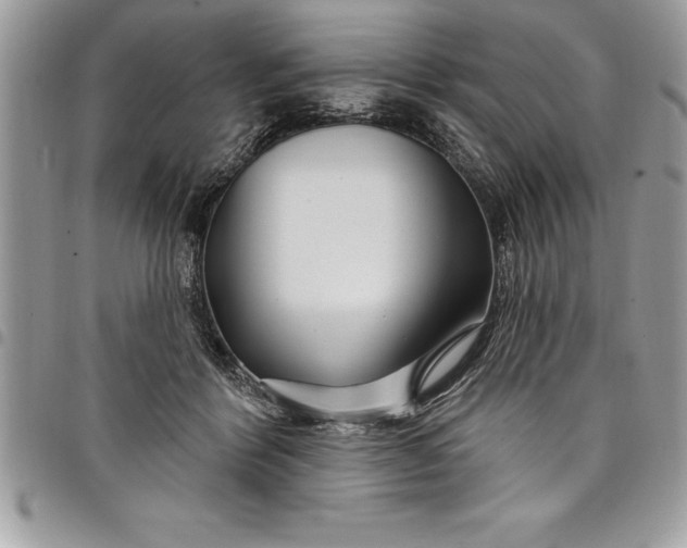 X0000097890412200803281250