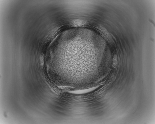 X0000097890413200803281250