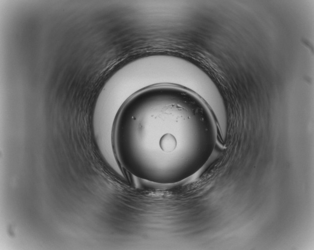 X0000097890415200803281250