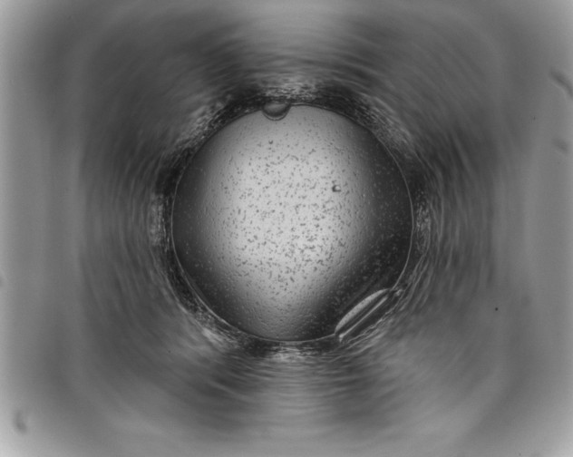 X0000097890416200803281250