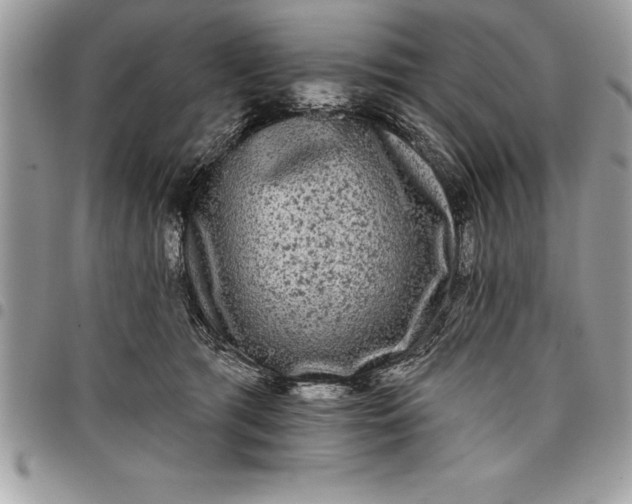 X0000097890417200803281250