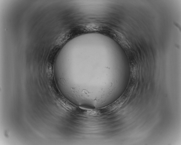 X0000097890418200803281250