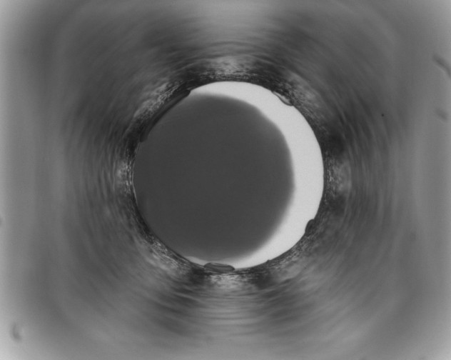 X0000097890419200803281250