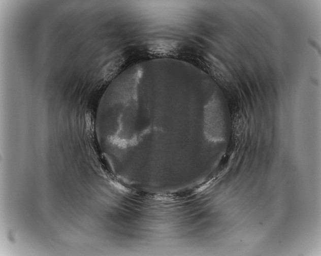 X0000097890420200803281250