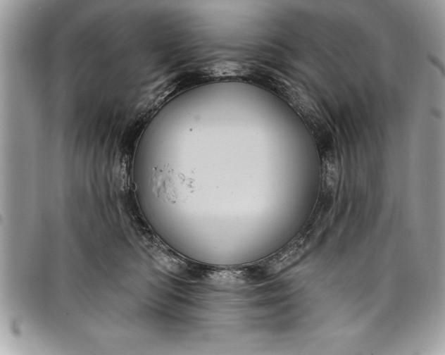 X0000097890422200803281250