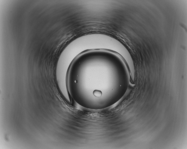 X0000097890423200803281250