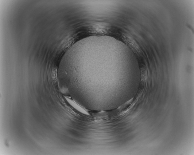 X0000097890425200803281250