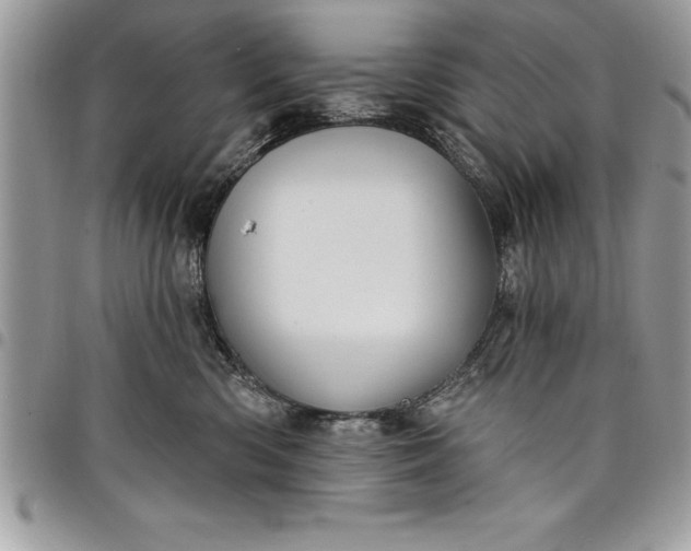 X0000097890426200803281250