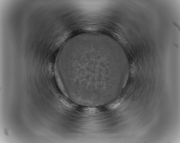 X0000097890428200803281250