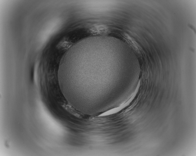 X0000097890429200803281250