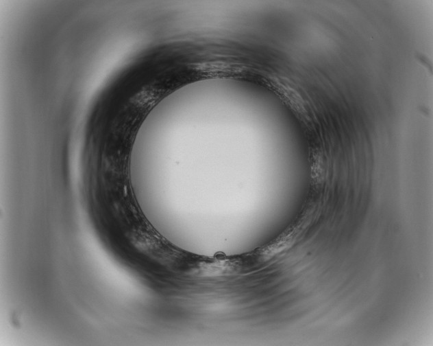 X0000097890430200803281250