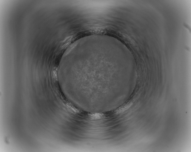 X0000097890432200803281250