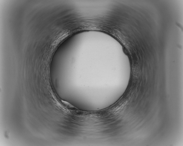 X0000097890433200803281249