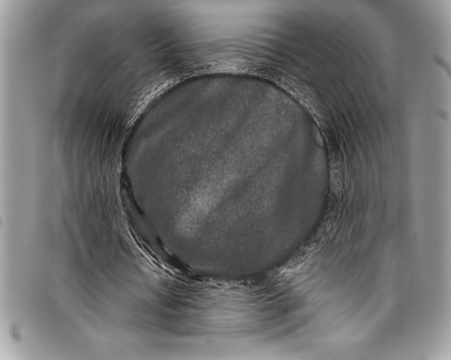 X0000097890434200803281249