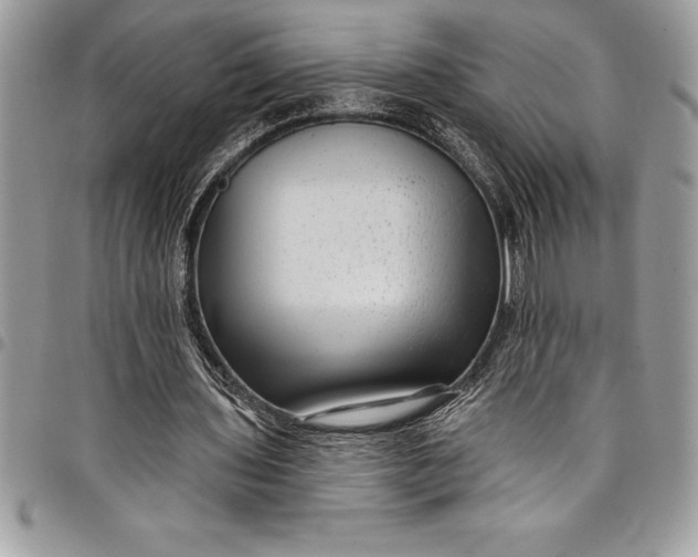 X0000097890435200803281249