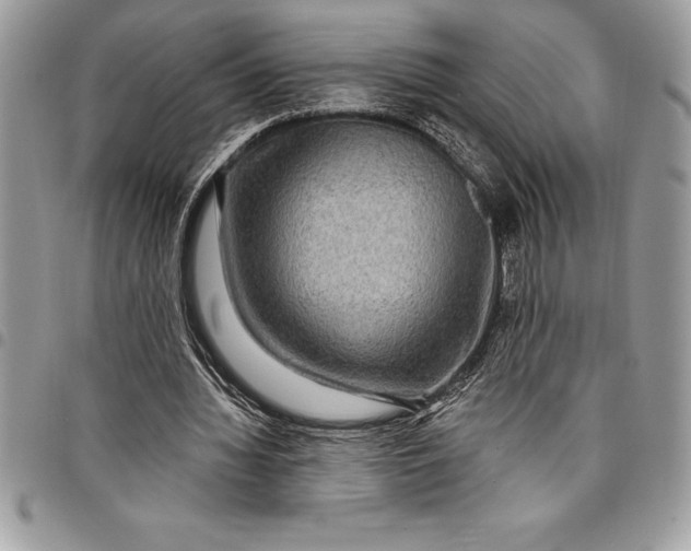 X0000097890436200803281249