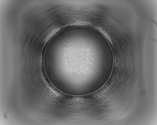 X0000097890437200803281249