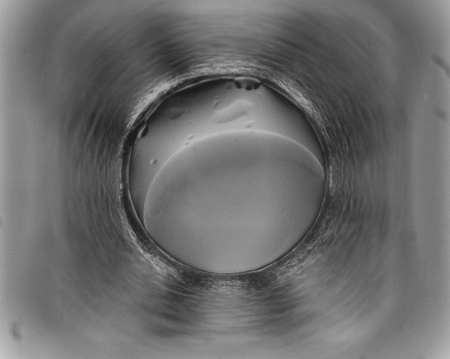 X0000097890438200803281249