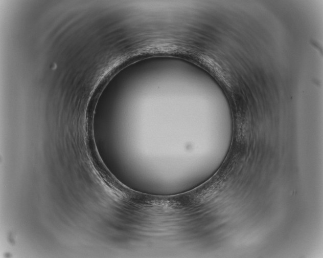 X0000097890439200803281249