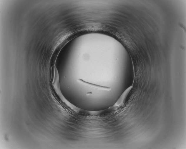 X0000097890440200803281249