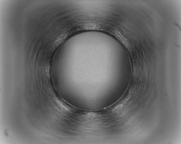 X0000097890441200803281249