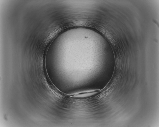 X0000097890442200803281249