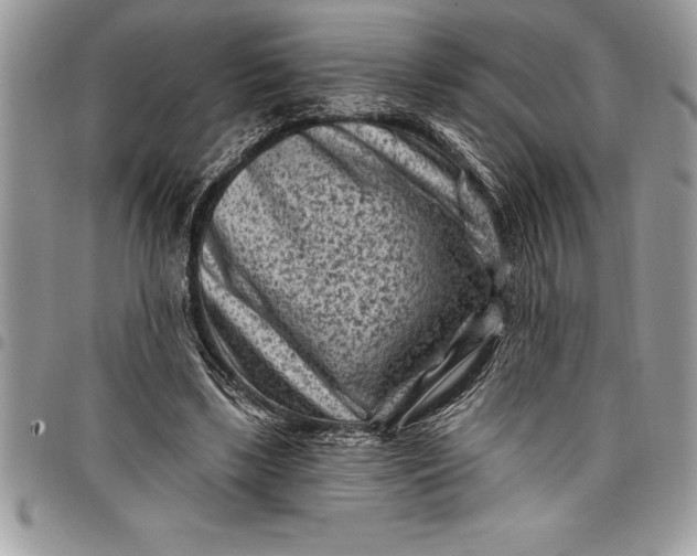 X0000097890443200803281249