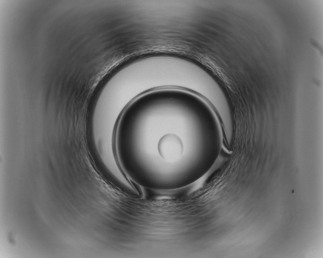 X0000097890444200803281249