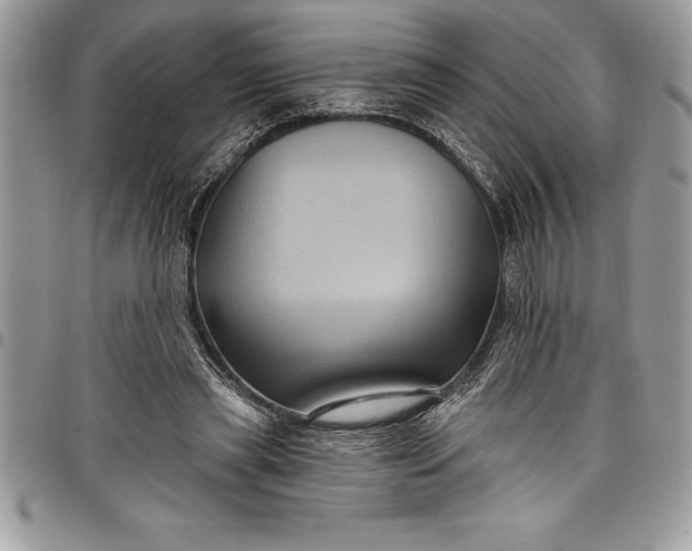 X0000097890445200803281249