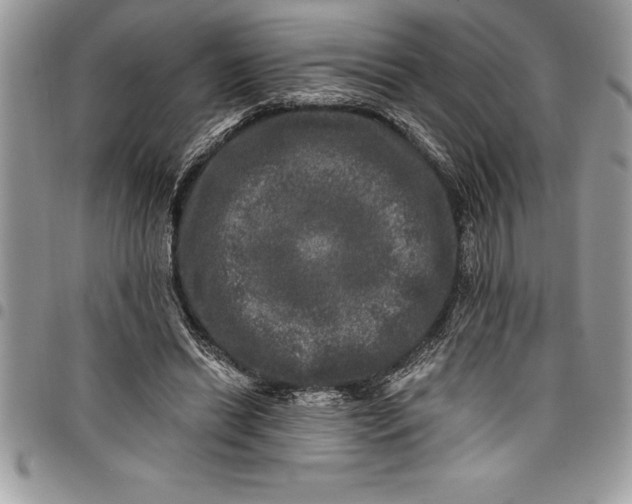 X0000097890446200803281249