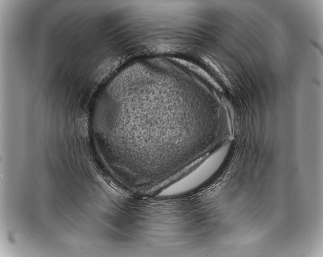 X0000097890447200803281249