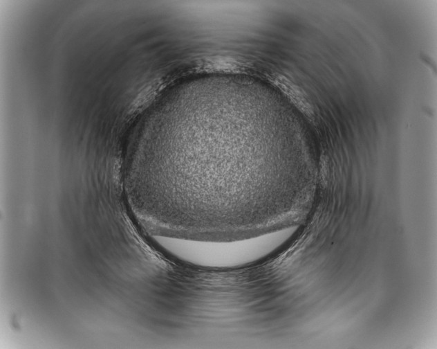 X0000097890449200803281249