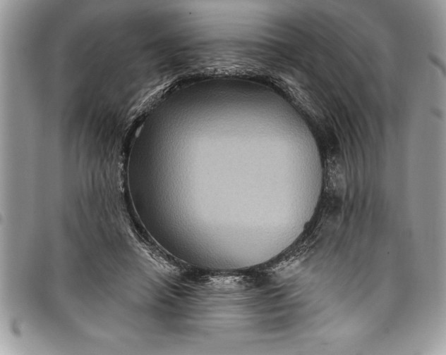 X0000097890450200803281249