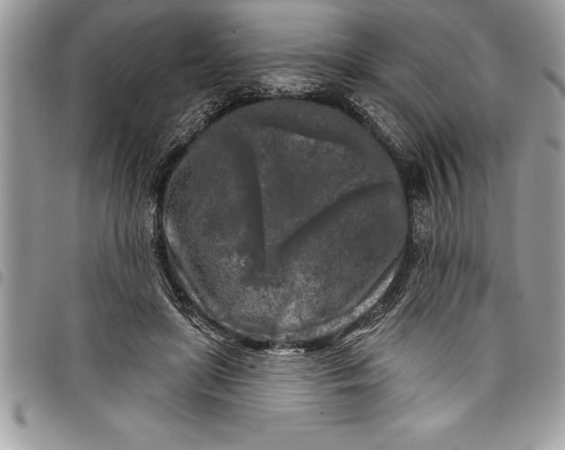 X0000097890451200803281249