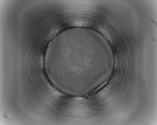 X0000097890453200803281249