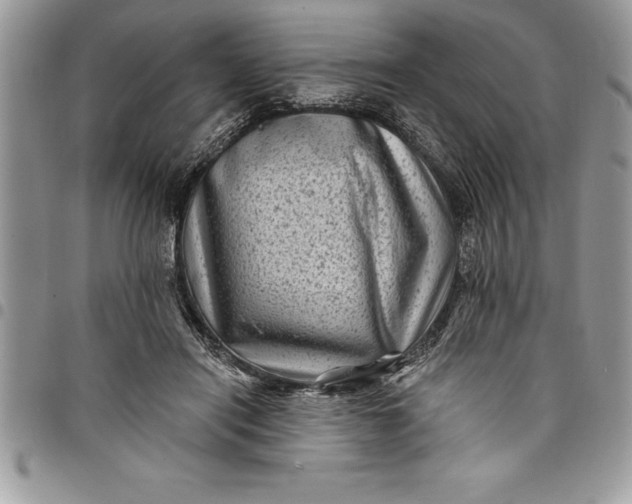 X0000097890454200803281249