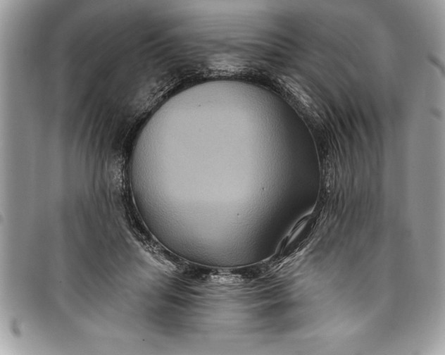 X0000097890455200803281249