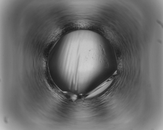 X0000097890456200803281249