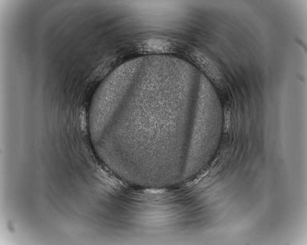 X0000097890457200803281249