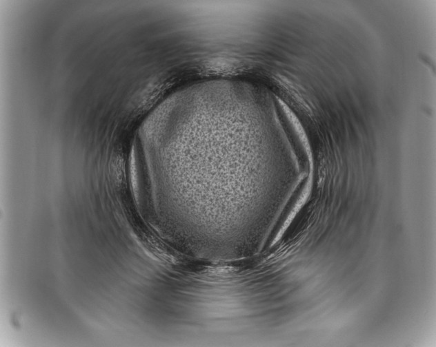 X0000097890459200803281249