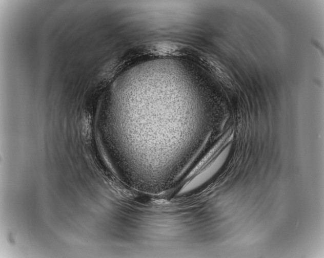 X0000097890461200803281249