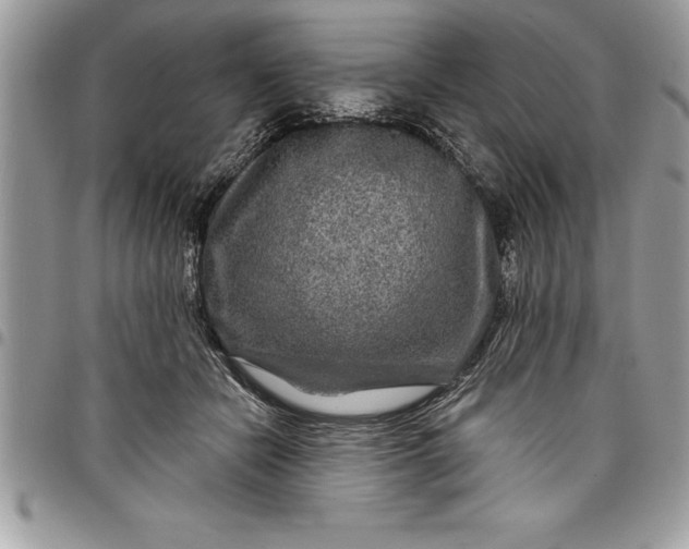 X0000097890462200803281249