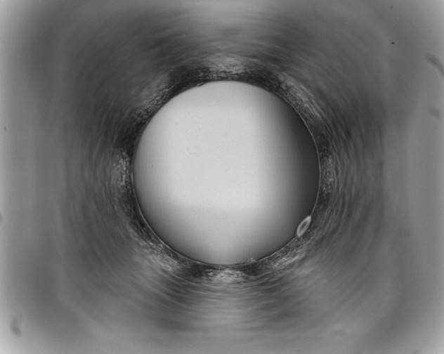 X0000097890463200803281249