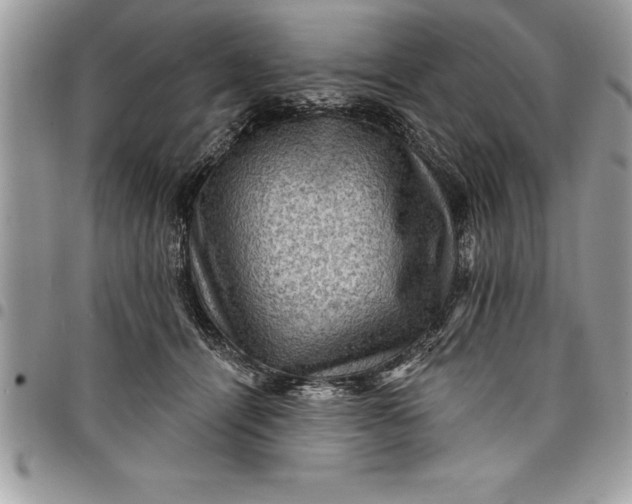 X0000097890464200803281250